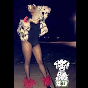 Meet your Posher, Raven